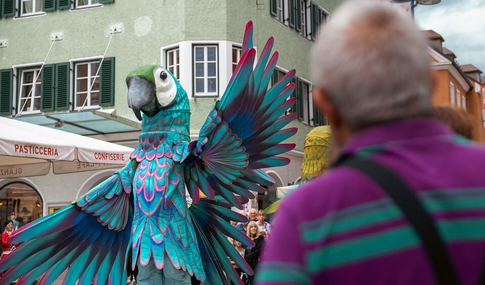 Ein großer Papagei in türkisem Kunstfederkleid schwingt seine großen Flügel inmitten des begeisterten Publikums bei Olala in Lienz. 
