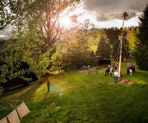 Eine Gruppe Menschen stellt einen Maibaum auf einer Wiese auf.