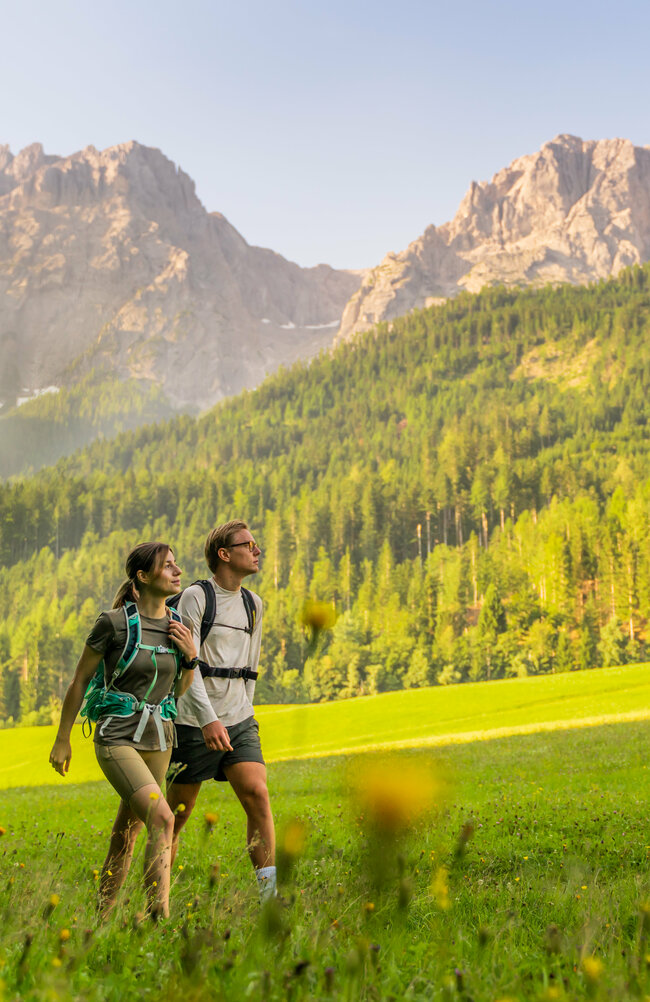 Pilgerweg Hoch & Heilig in Lavant Ein Pärchen spaziert auf einer Wiese auf dem Pilgerweg Hoch & Heilig in Lavant.