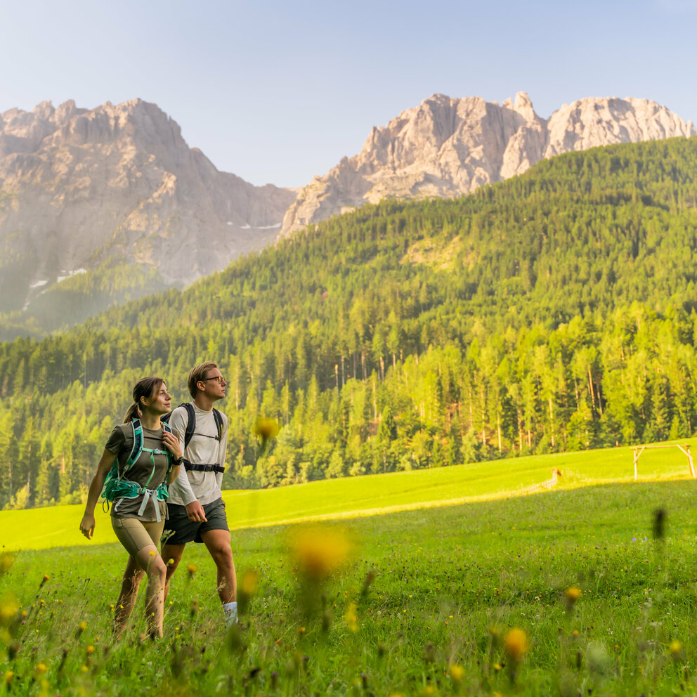 Pilgerweg Hoch & Heilig in Lavant Ein Pärchen spaziert auf einer Wiese auf dem Pilgerweg Hoch & Heilig in Lavant.