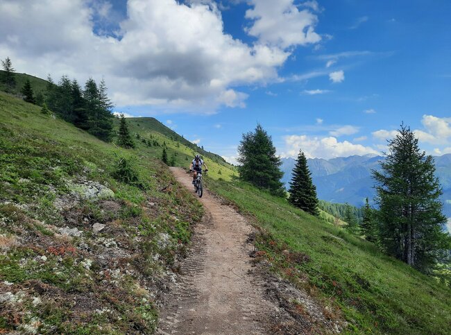 Faur fährt abwärts am Bergwiesentrail
