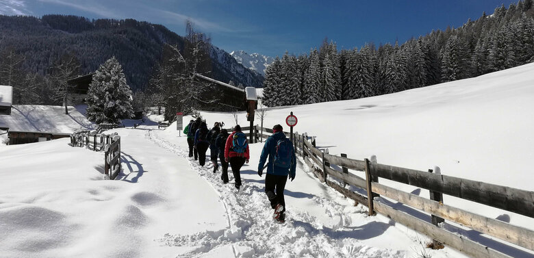 winterwandern-kartitsch Mehrere Menschen bei einer geführten Winterwanderung in Kartitsch