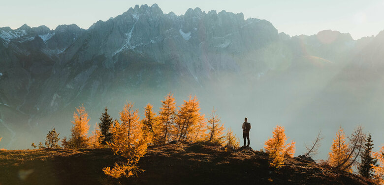 Wanderer zwischen den verfärbten Bäumen des Herbstes am Ederplan mit Aussicht auf ein beeindruckendes Bergpanorama.