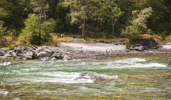 Die Isel als Ruheraum, am Flussufer inmitten des grünen Waldes.