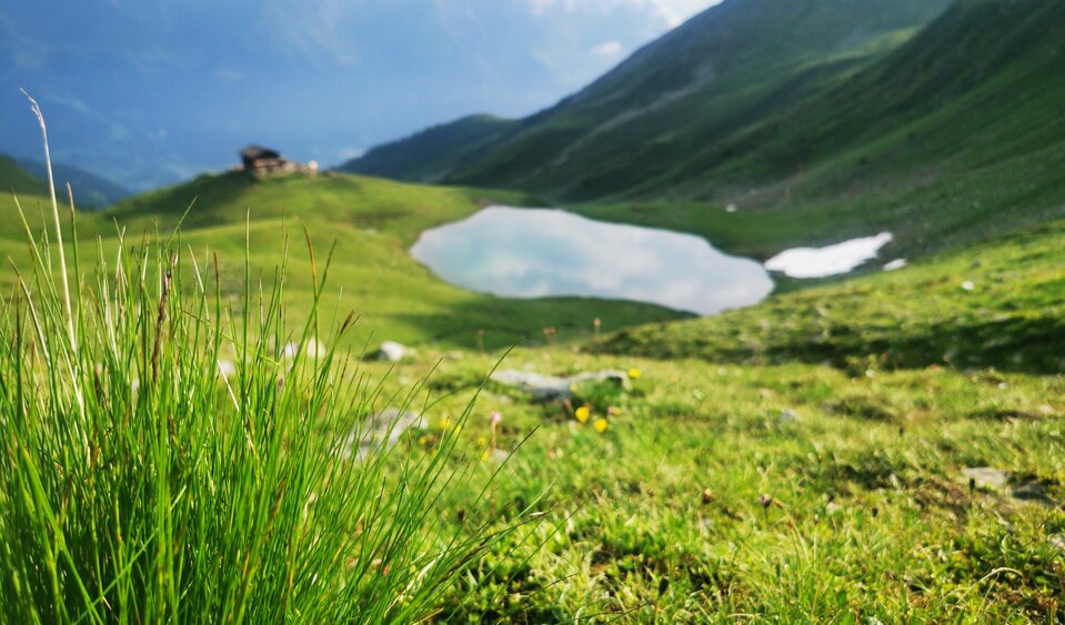 grüne Wiesen hinter der Zupalseehütte Lasörling group