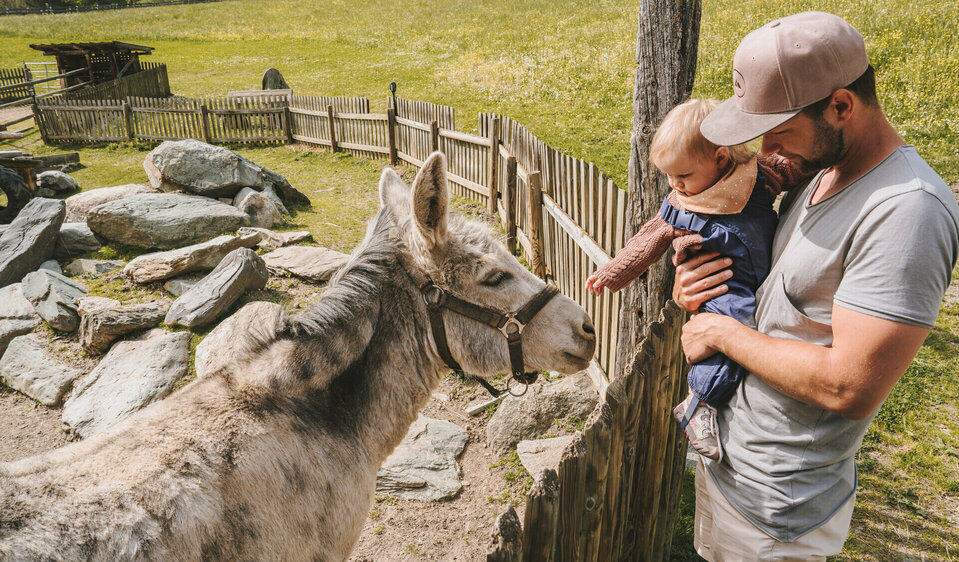 Vater mit Kind streichelt Esel