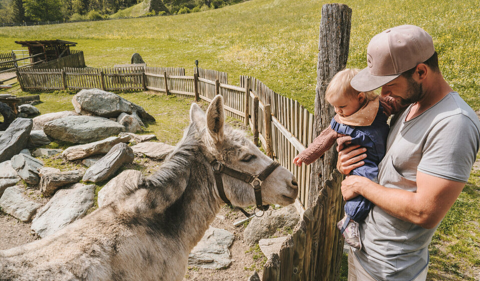 Vater mit Kind streichelt Esel