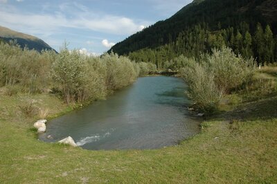 Wasserruheplatz Zollwirt Der Blick auf den Wasserruheplatz Zollwirt in St. Jakob i. D.. Der schmale aber lange See ist dabei der Mittelpunkt des Bildes. Links und rechts ist das begrünte Ufer mit Sträuchern bedeckt, nur einzelne Steine ragen aus dem Wasser.