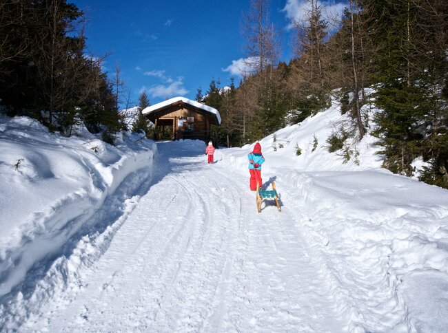 Rodeln am Tilliachalmweg in Außervillgraten