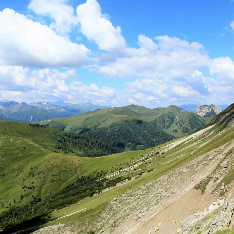 Gailtaler Höhenweg am Hals mit Blick zum Steinrastl und Golzentipp Steile, nach Süden geneigte, sonnige Schotterrinnen im Vordergrund. Im Hintergrund die sanft anmutenden, mit Grasmatten bedeckten Berge der Gailtailer Alpen an einem sonnigen Sommertag. Ein paar kleine Quellwolken zieren den Himmel.