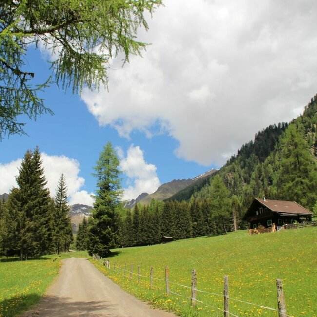 Feldweg ins Kristeinertal inmitten einer grünen Wiese und Wäldern in der Umgebung