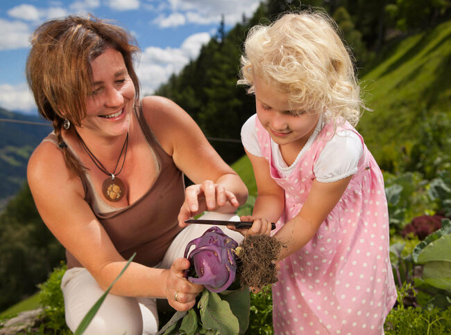 Eine Frau und ein Mädchen ernten frisches Gemüse auf einem Feld. Das Mädchen hat ein Messer und das Gemüse in der Hand.