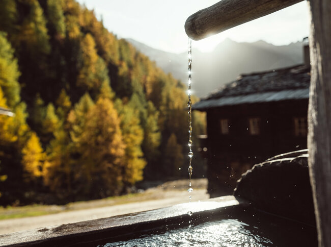 Kleiner Wasserbrunnen aus Holz mit klarem Quellwasser auf der Oberstalleralm mit herbstlichen Wäldern im Hintergrund.