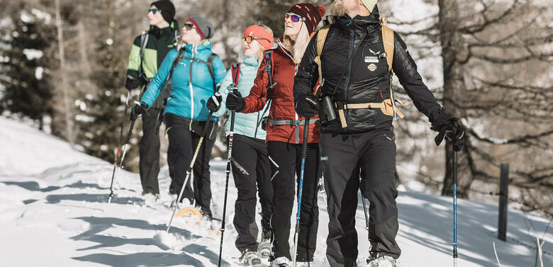 Schneeschuh Schneeschuh