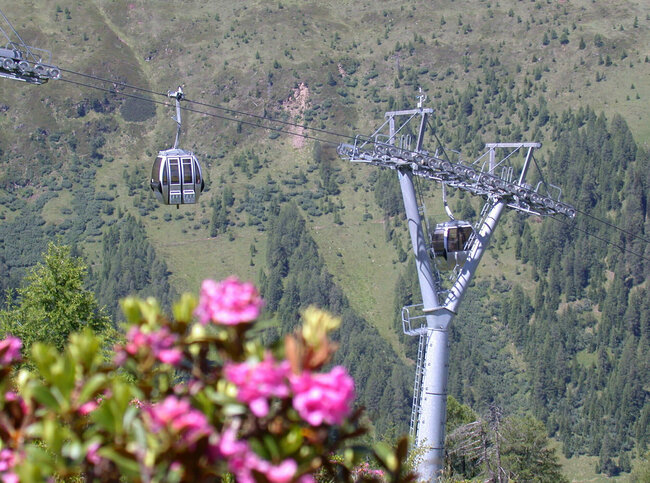 Bergbahn St.Jakob Blick auf eine Gonder der Bergbahn St. Jakob im Defereggental, im Vordergrund blühende Almrosen