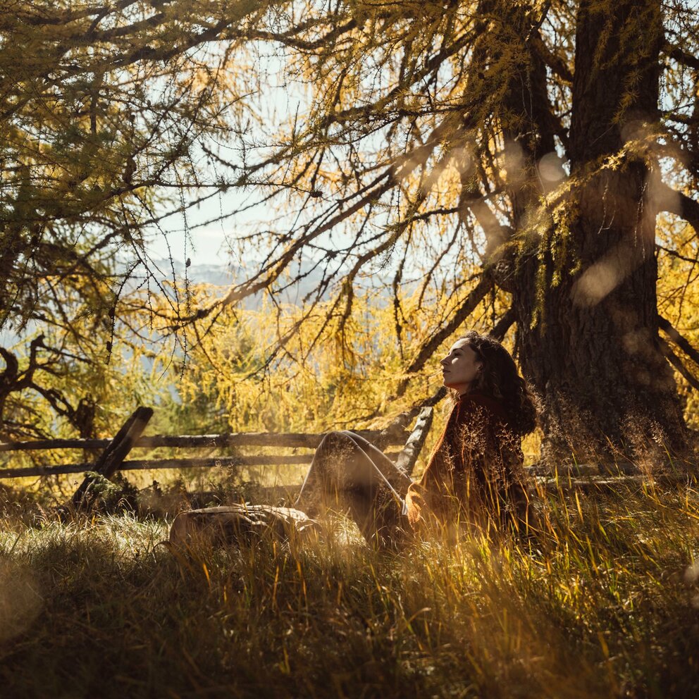 Wanderin sitzt unter einem Baum im Zedlacher Paradies und genießt die herbstliche Natur.