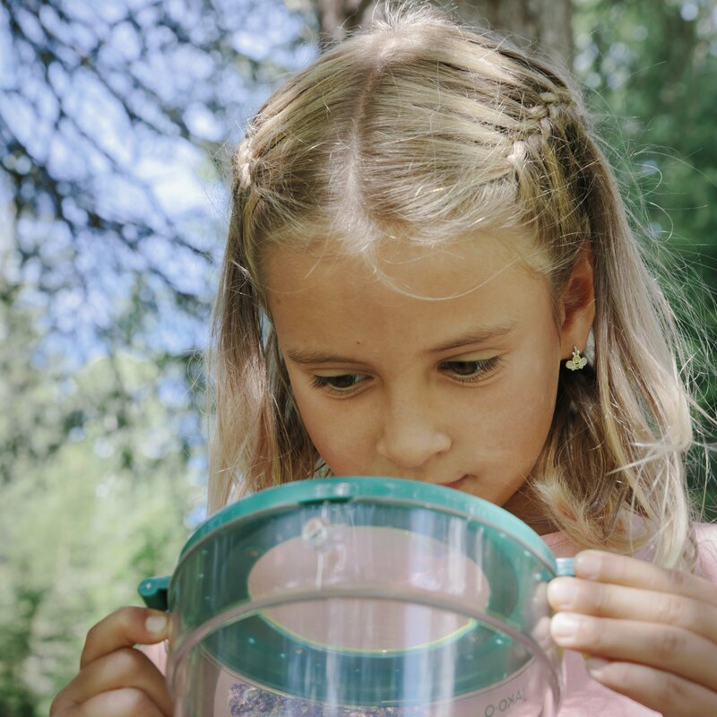 Ein kleines Mädchen steht im Wald und beschäftigt sich mit einer Becherlupe.