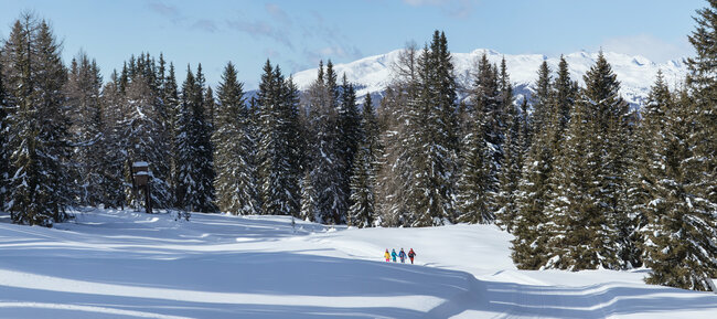 Winterwandern auf idyllischen schneebedeckten Wiesen zwischen tief verschneiten Wäldern in Kartitsch.