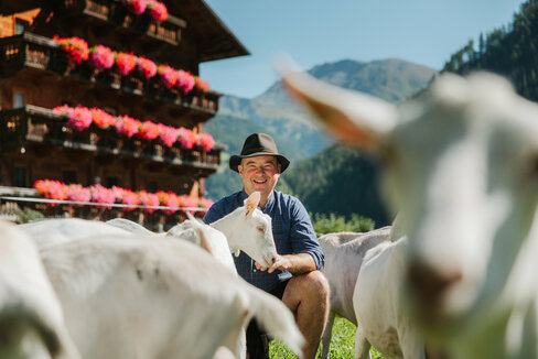 Ein Ziegenbauer ist umgeben von vielen, weißen Ziegen