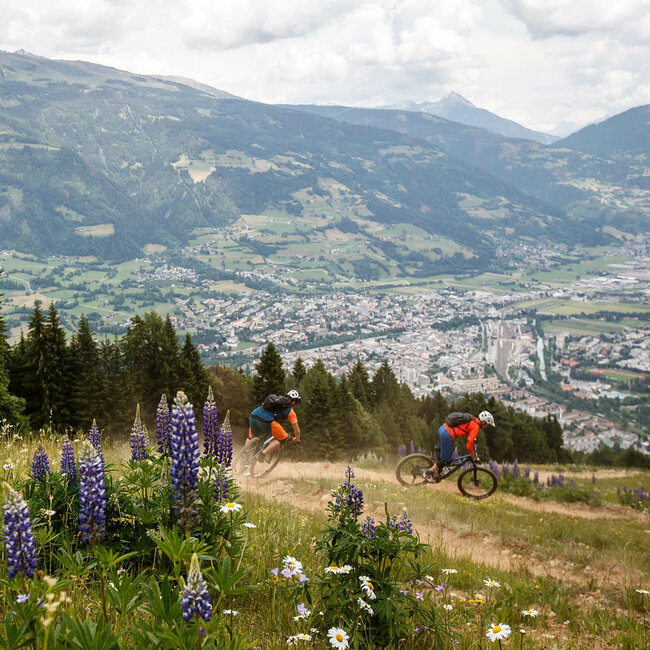 Zwei Mountainbiker auf dem schmalen Peter Sagan Trail im Bikepark Lienz, mit Blick auf die Stadt. Im Vordergrund blühen einige lilafarbene Blumen.