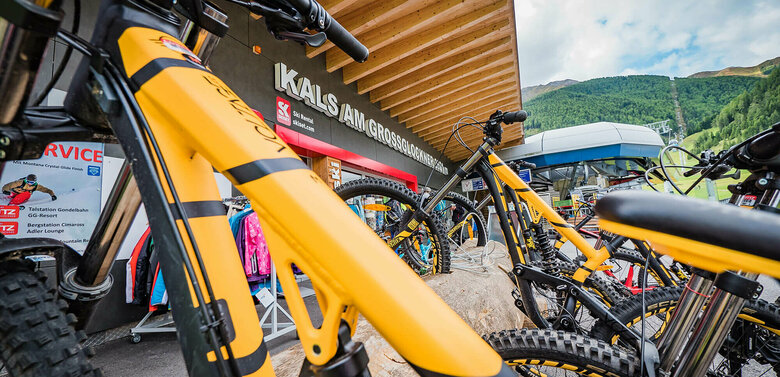 Mehrere gelb-schwarze Mountainbikes in einem Baum als Fahrradständer an der Talstation der Bergbahn in Kals am Großglockner.
