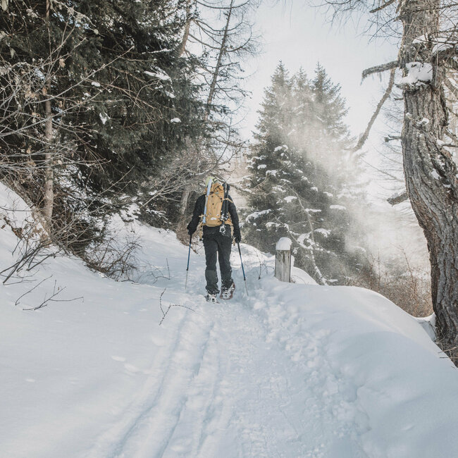 Winterwandern-Osttirol Ein Schneeschuwanderer mit gelbem Rucksack steigt durch einen verschneiten Wald in Osttirol.