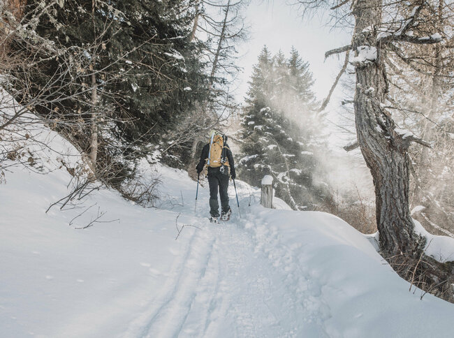 Ein Schneeschuwanderer mit gelbem Rucksack steigt durch einen verschneiten Wald in Osttirol.