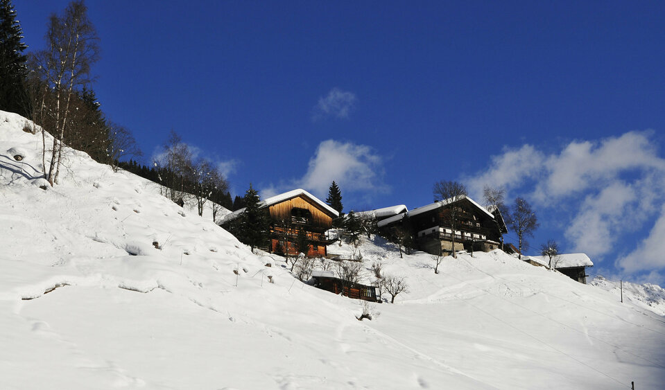 Winter in the mountains