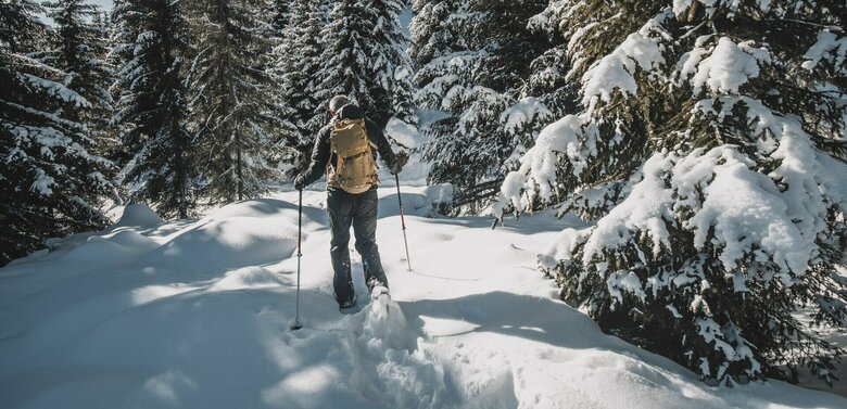Winterzauber Nationalpark Hohe Tauern Eine Person wandert von hinten zu sehen durch den tiefen Schnee. Sie trägt dunkle Outdoor-Kleidung, einen Rucksack sowie Mütze und nutzt Wander- bzw. Skistöcke zur Unterstützung. Der Weg führt an dichten, tief verschneiten Nadelbäumen vorbei. Der Himmel ist blau und klar.