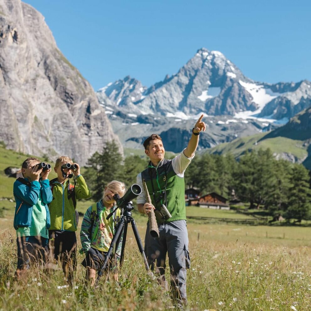 Wildtierbeobachtung Nationalpark Hohe Tauern