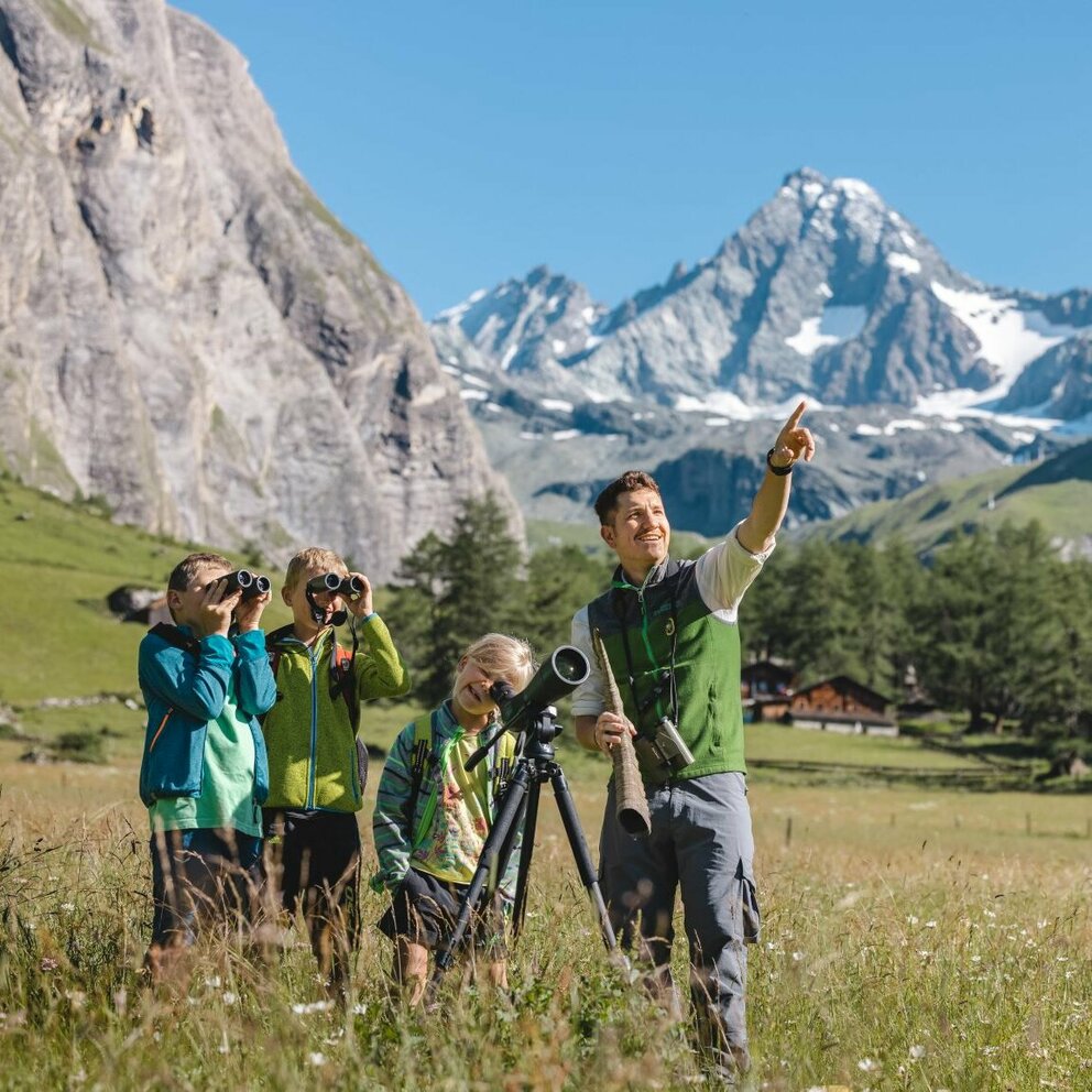Wildtierbeobachtung Nationalpark Hohe Tauern