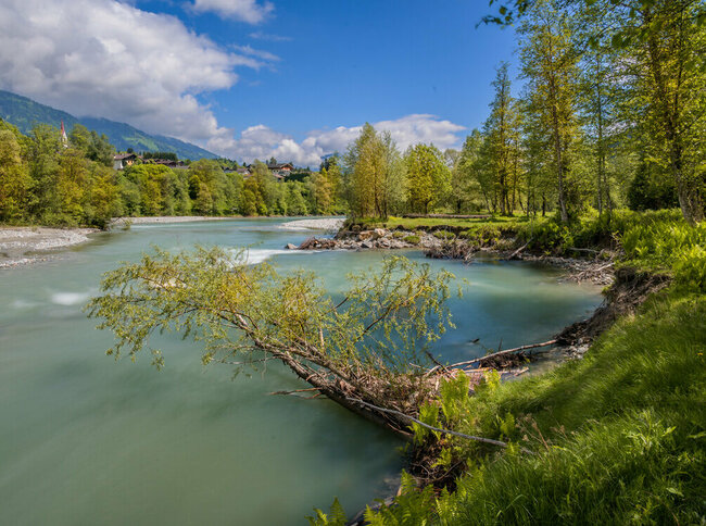 Die weite Isel mit ihren sanften Auen im Iseltal.