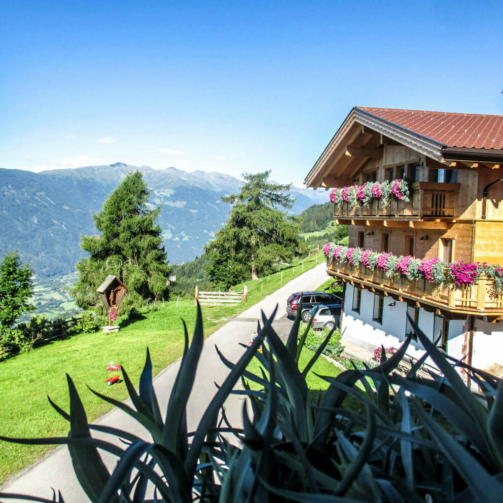 Foto vom Gerlhof in Nußdorf im Sommer