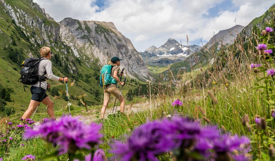 Wandern Blickrichtung Großglockner Wandern Blickrichtung Großglockner