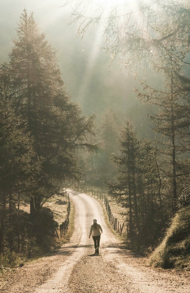 Wander im Gschlösstal