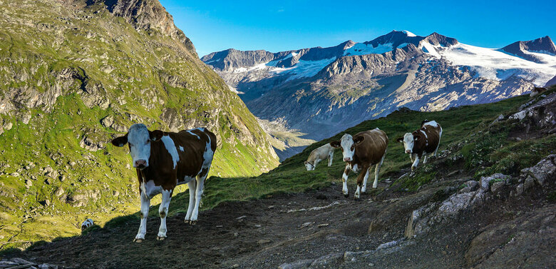 Adlerweg Osttirol Etappe 2
