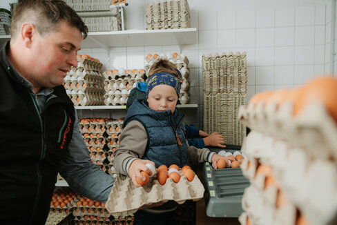 Ein Vater sortiert mit seinem Sohn Hühnereier in Kartons