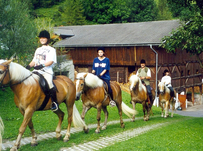 Reiten Vier Personen reiten auf Haflingern in einer Reihe vor einem Stall.