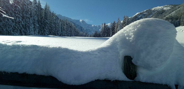 winterwandern-kartitsch Schneekristalle beim Winterwandern in Kartitsch