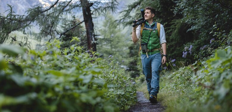 Nationalpark-Ranger Nationalpark-Ranger mit Fernglas wandert durch die Natur im Ködnitztal bei Kals am Großglockner.