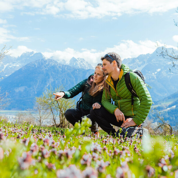 Zwei Wanderer bewundern eine Blumenwiese.