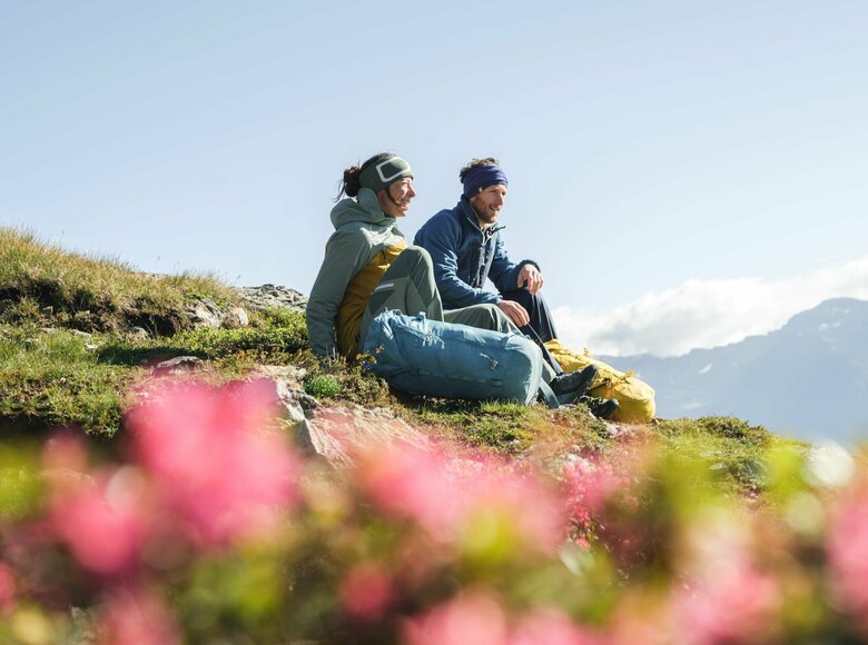 Böses Weibele Sonnenaufgangstour Ein Paar macht eine Pause auf einer Wiese mit Almrosen auf dem Weg zum Bösen Weibele zu einer Sonnenaufgangstour.