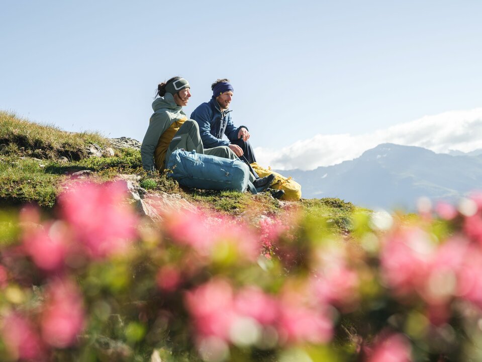 Böses Weibele Sonnenaufgangstour Ein Paar macht eine Pause auf einer Wiese mit Almrosen auf dem Weg zum Bösen Weibele zu einer Sonnenaufgangstour.
