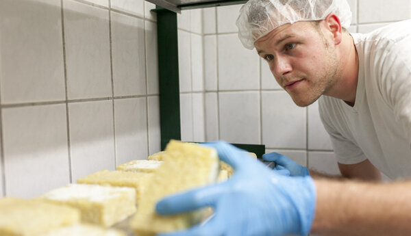Ein Mann mit Haube und blauen Handschuhen in Nahaufnahme beim Herstellen von Graukäse beim Fröserhof. 