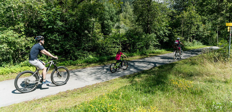 Radfahren Eine dreiköpfige Familie am Radfahren auf dem Iselradweg. Der asphaltierte Weg ist umgeben von saftig grünen Bäumen und einem Grünstreifen mit vielen, gelben Blumen.