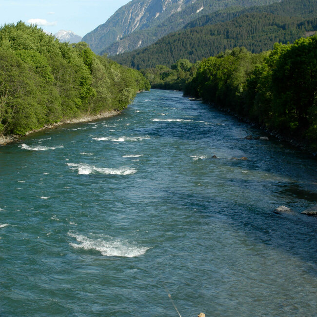 Blick von oben auf einen Mann im Fluss mit einer Angel beim Fliegen fischen. Am Ufer wachsen saftig grüne Bäume und im Hintergrund ragen Berggipfel in die Höhe.