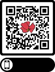 QR Code der Ressourcen zur Pressekonferenz