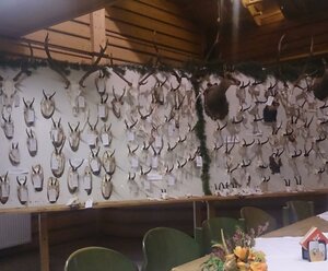 Trophäenschau Matrei