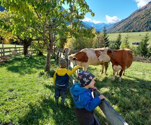 Bergerhof - Michael Gratz
