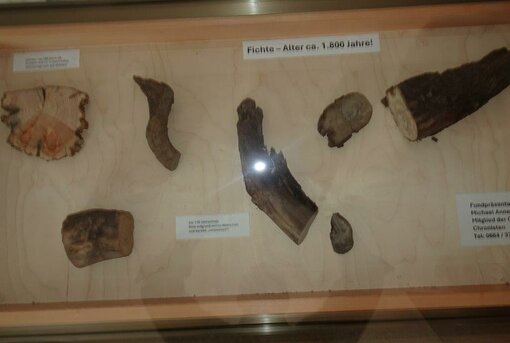 Holzfund Ausstellung